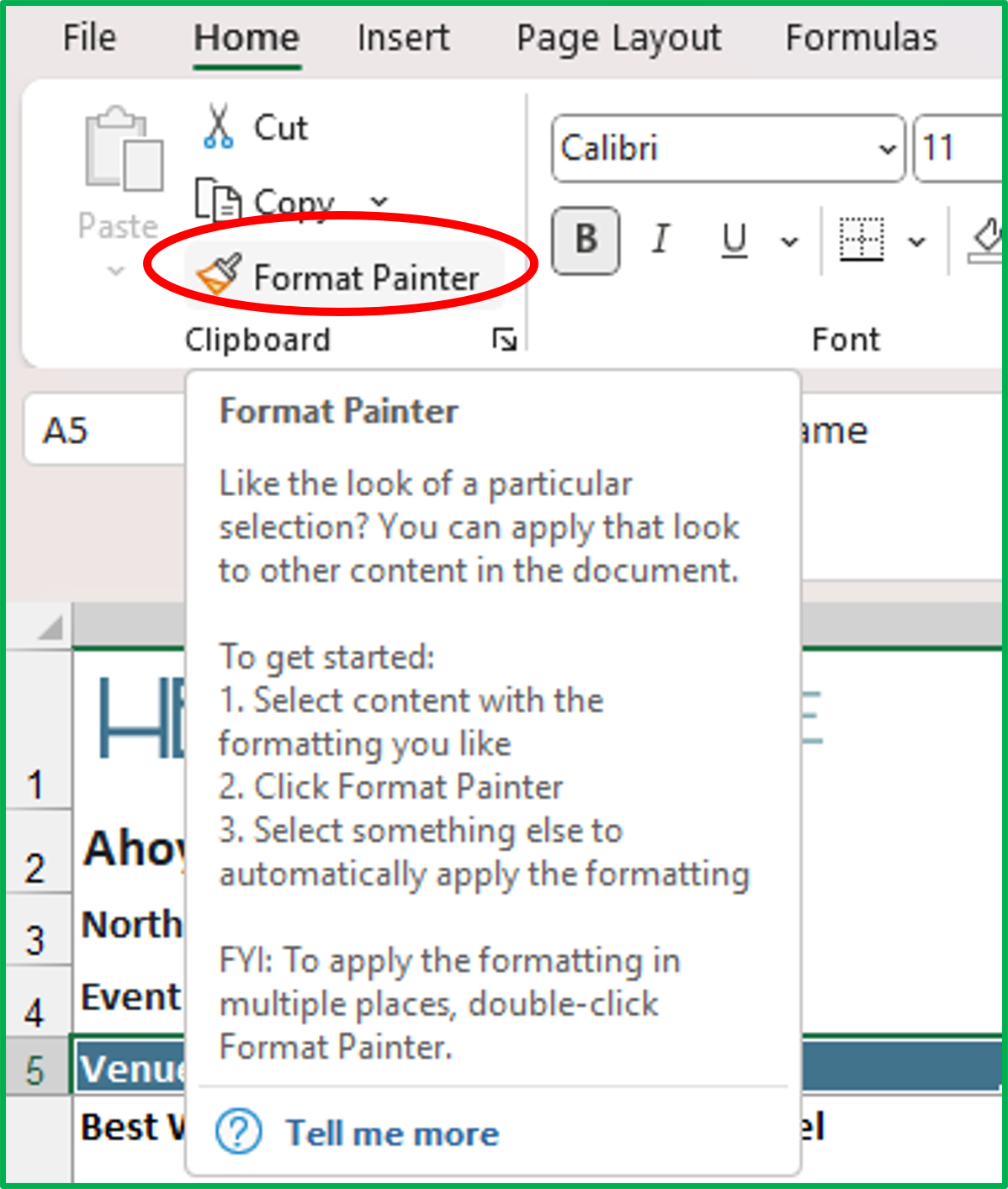 Excel Format Painter tool.png